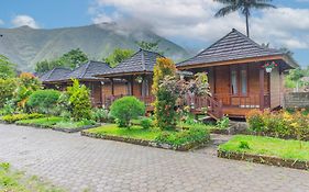 Puncak Rinjani Lodge